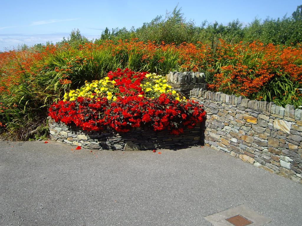 Ferryview B&B V23 X577 Cahersiveen Exterior foto